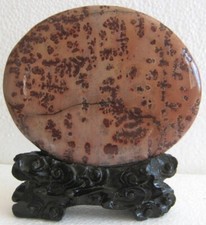 Bonsai di SUISEKI PIETRA DI GUOHUA FIORE DI PRUGNA ROSSO #510