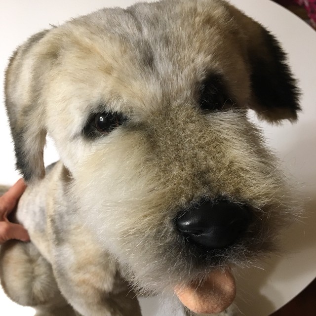 HANSA Border Terrier No.4568 Stuffed Toy Animal Dog Doll Baby Kids Japan 44cm for sale online | eBay