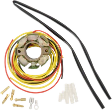 RICK'S MOTORSPORT ELECTRIC Hot Shot Stator - KTM 21-0099H