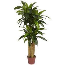 Silk 4-foot Potted Corn Stalk Dracaena Plant - Green - 4'h x 2'd