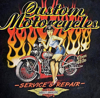 Harley-Davidson Motorcycles Graphic T-Shirt Monterey County H-D Salinas CA 2XL