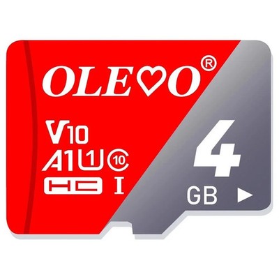 Micro SD Speicherkarte 4gb Class 10 TF Card UK gratis