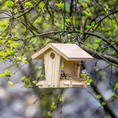 Bauen Sie Ihr eigenes vorgeschnittenes Jinto Vogelfutterhaus-Set