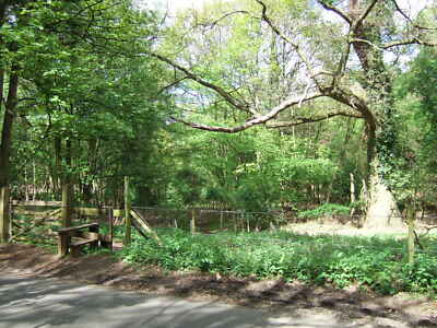 Foto 12x8 Der Beginn eines Fußweges Fowler's Plantation / Keep's Wood bei c2010