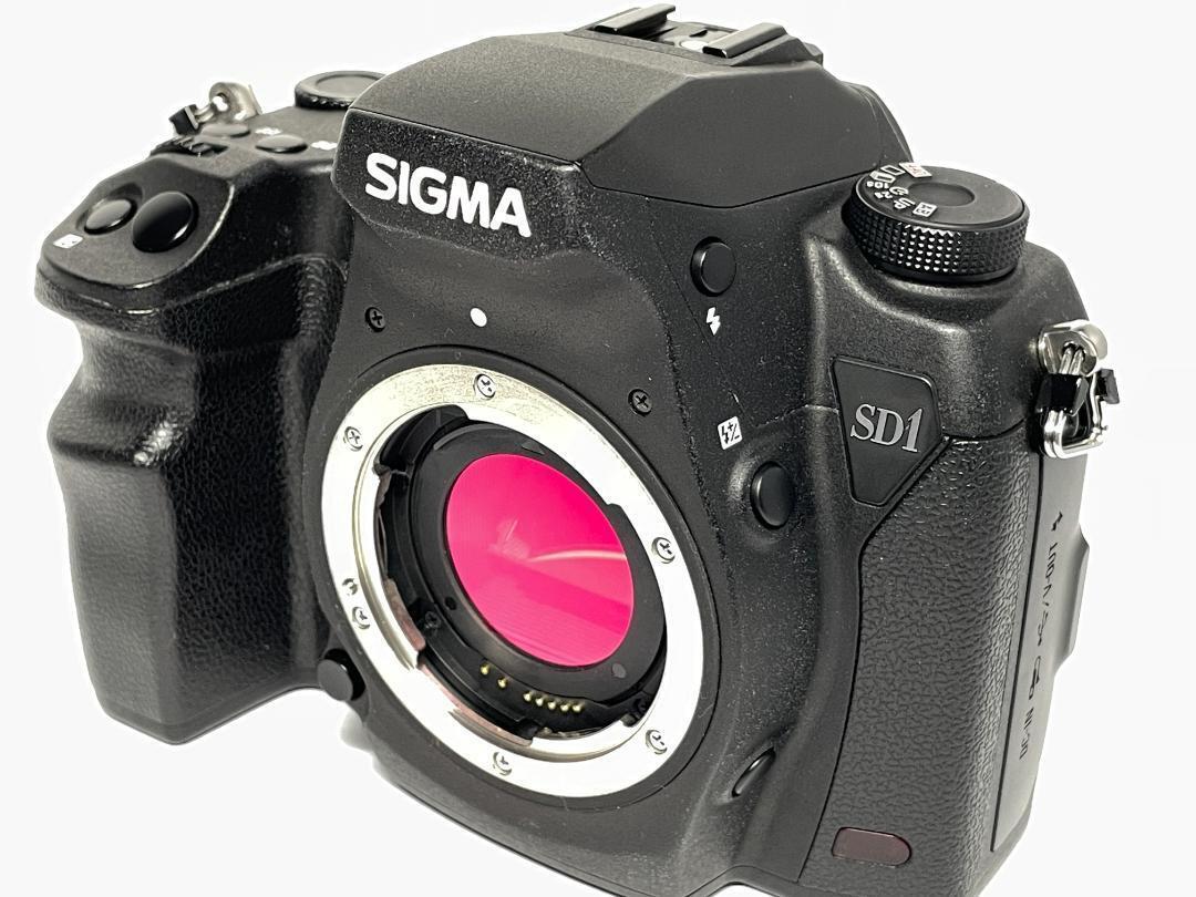 Sigma SD1 Merrill Body Excellent Used