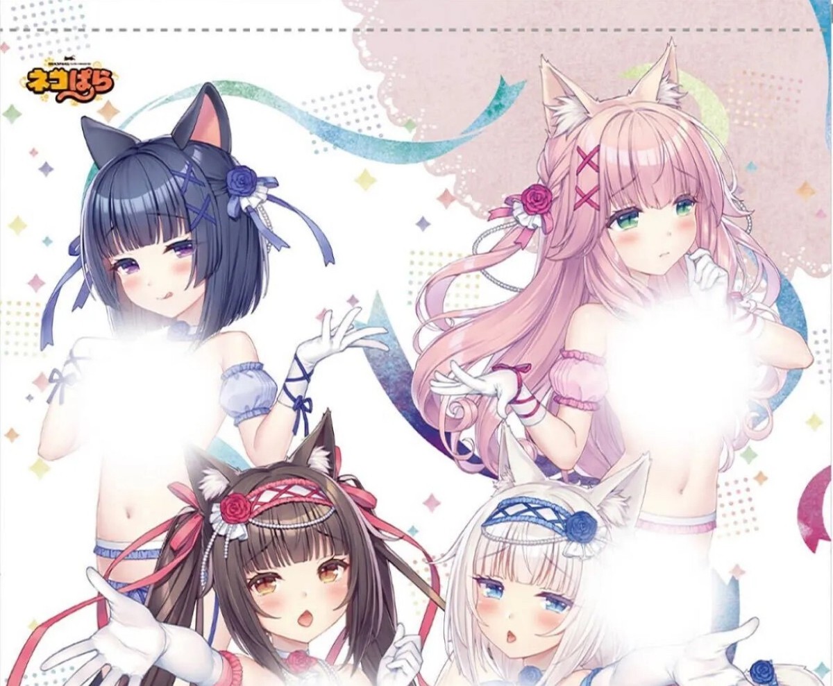 アート・デザイン・音楽 NEKOPARA 10th ANNIVERSARY SAYORIARTWORKS NEW NEKOPARA 10th ANNIVERSARY -SAYORI ART WORKS- B2W