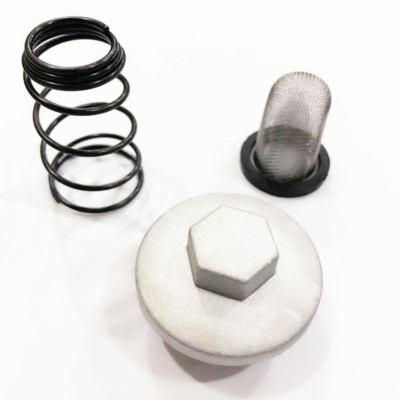 Ölfilter Ablaufstopfen Kit Für GY6 50cc-150cc Mopeds – Inkl. Filter, Feder & O-Ring. Passend Für Baotian, Benzhou, Znen, Taotao. Aluminium & Gummi.