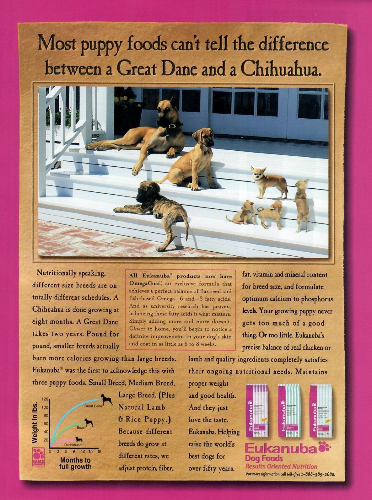 1998 Print Ad