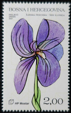 TIMBRE de BOSNIE-HERZÉGOVINE - HERCEG BOSNA - IRIS N°181 NEUF ** LUXE MNH