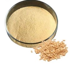 Barley Extract Powder 100 Pure Premium Quality Supplement Free  Fast Shipping
