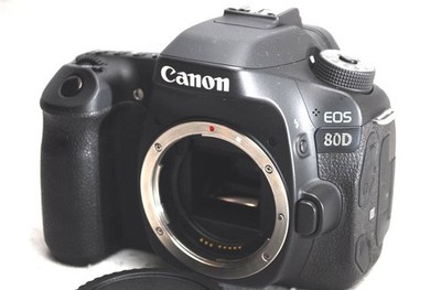 Canon EOS 80D in great condition! Very few shots  A239
