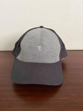 Apple Employee Light and Dark Gray Baseball Hat - Super Rare