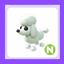 Adopt Me - NEON Poodle White, pink, new, Bethink