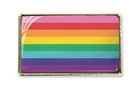 LGBT+ Gilbert Baker's Original Rainbow Pride Flag, Gel Domed, Pin Badge