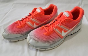 air pegasus 29