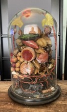 Antique Victorian Wax Fruit Taxidermy Glass Dome