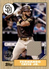 Fernando Tatis Jr 2022 Topps 1987 Style Relic #87R-FTJ