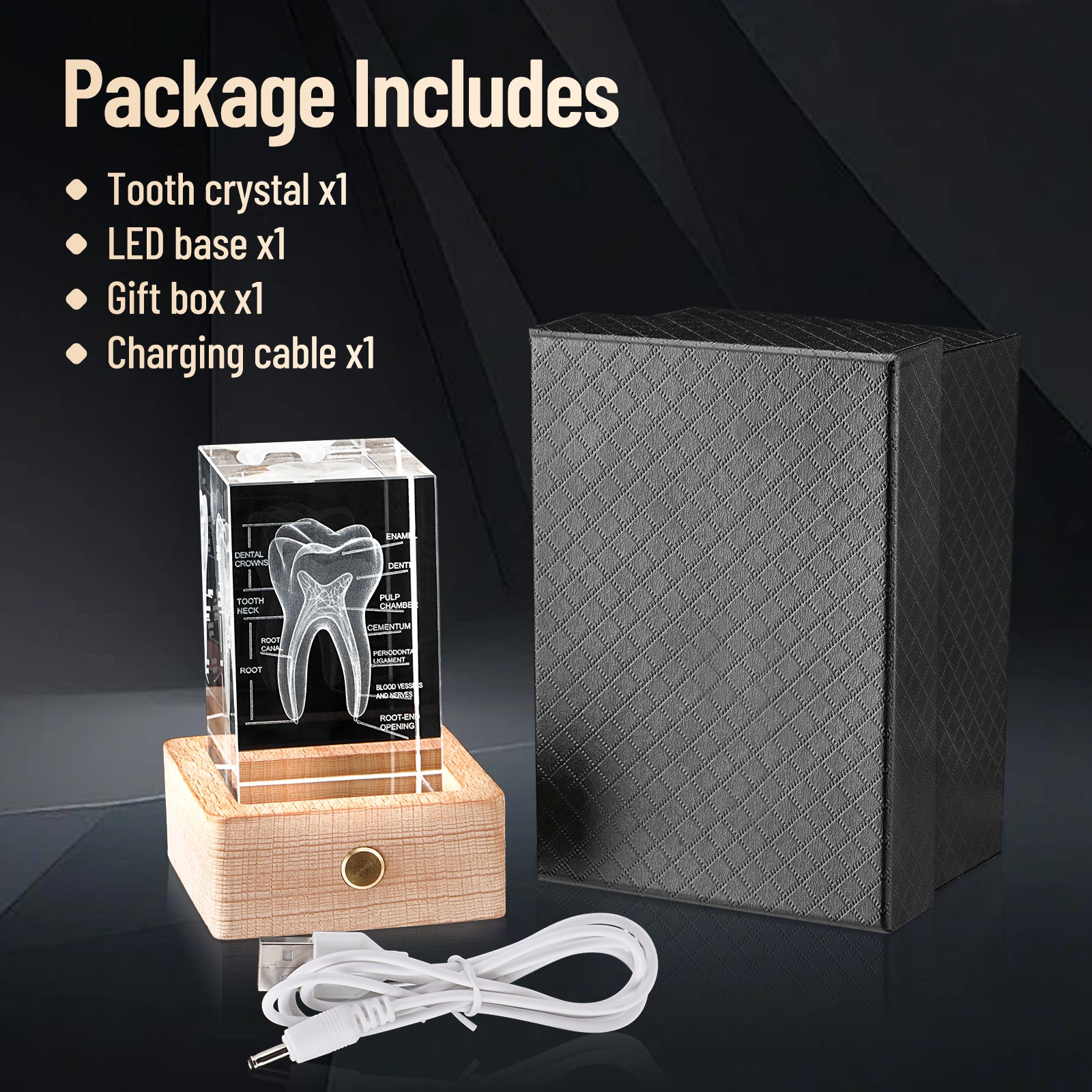 Tooth Ornament 3D Human Tooth Crystal Model for Home Decoration Dentists Gifts