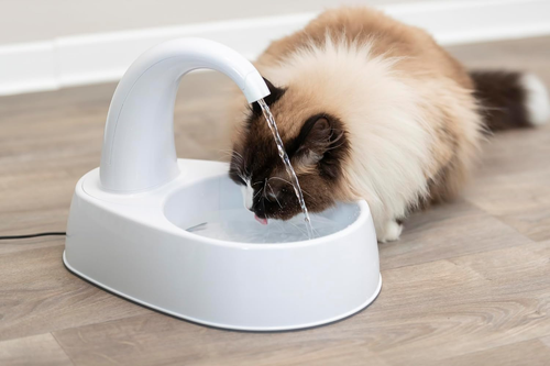 Fontana Curva per Cani E Gatti, Dispenser Automatico D'Acqua Da 2,4 L, Ciotola p - Foto 7 di 12