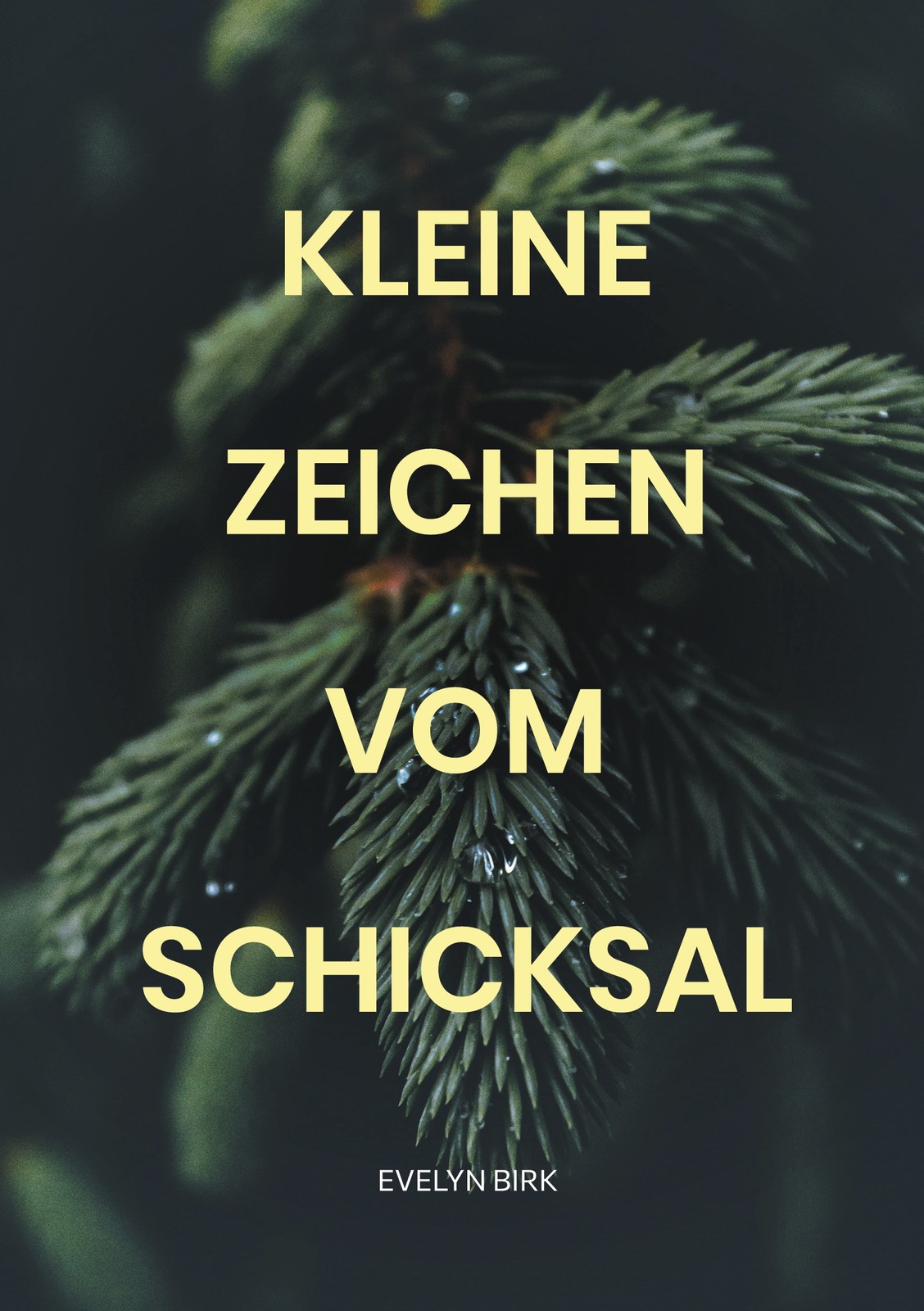 Kleine Zeichen vom Schicksal (Buch)