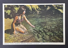 New Zealand Postcard ( Feeding Trout , Rainbow Springs)