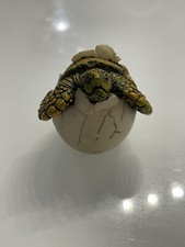 Cute Things Adorable Baby Sea Turtle Hatching from Egg