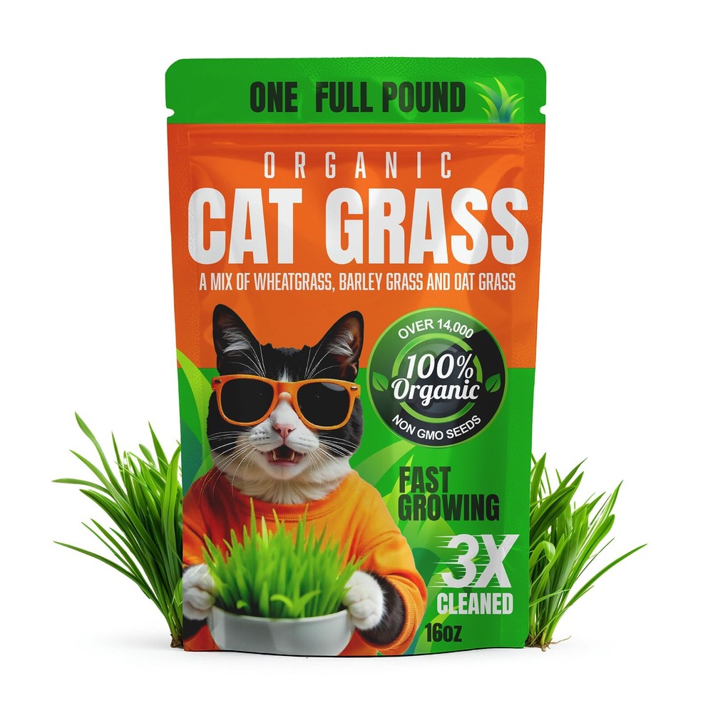 1 Pound Premium Organic Cat Grass - Non GMO Mixed Seeds - Wheatgrass Seeds