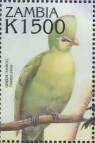 Zambia #Mi1200 MNH 2000 Parrots Guinea Turaco [888b] - Afbeelding 1 van 1