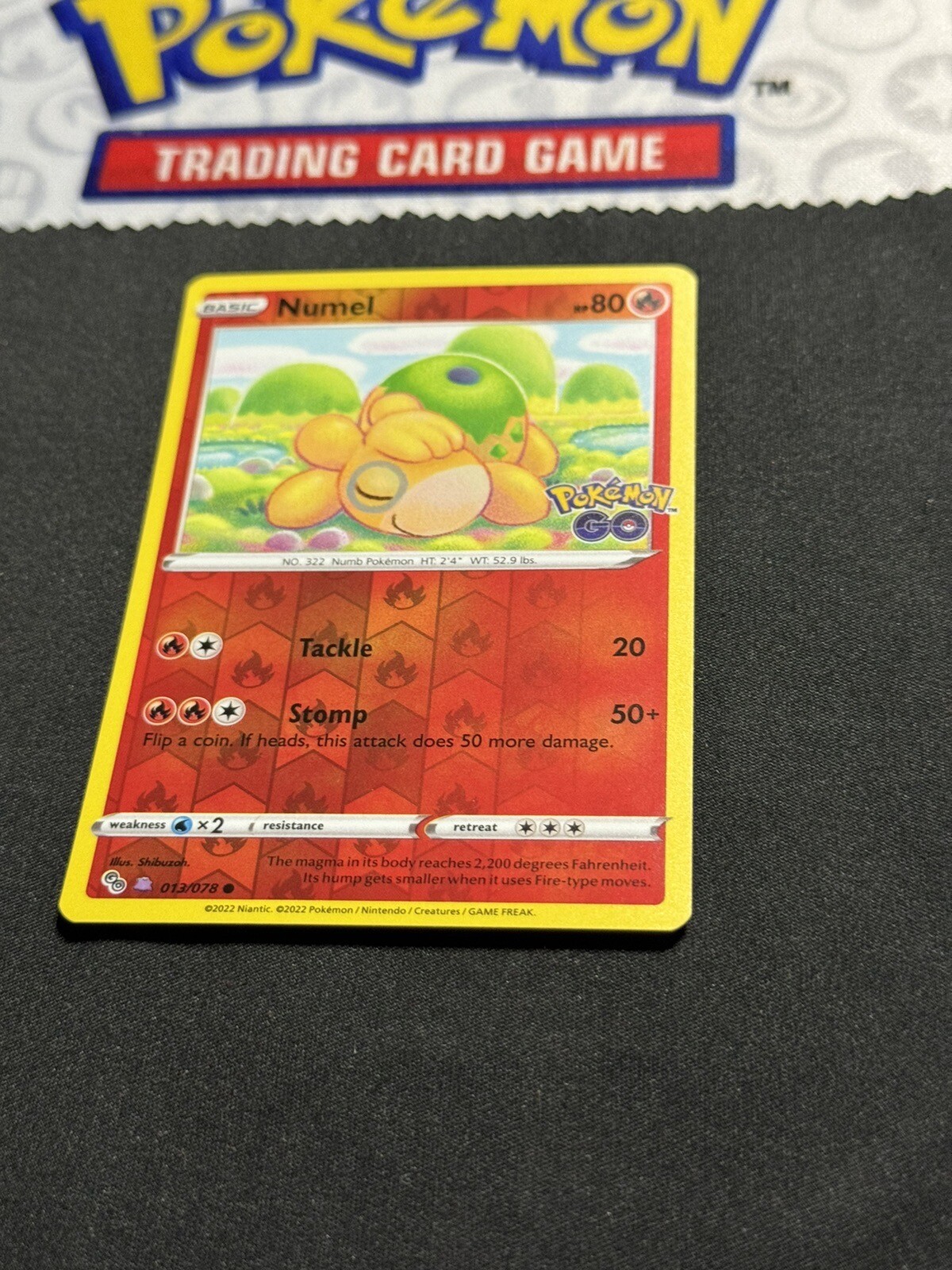 Numel (Peelable Ditto) 013/078 NM+ Reverse Holo Pokemon GO Pokemon