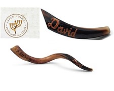 Jewish Kudu horn Blowing Shofar 24-26 Inch With Your Name