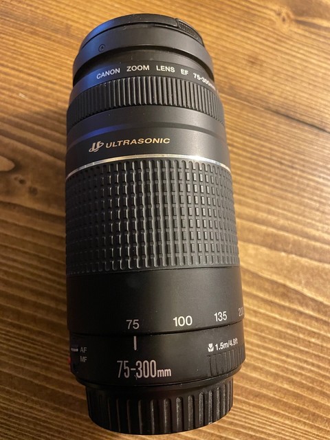Canon Ef 75 300mm F 4 5 6 Iii Usm Lens Compra Online En Ebay