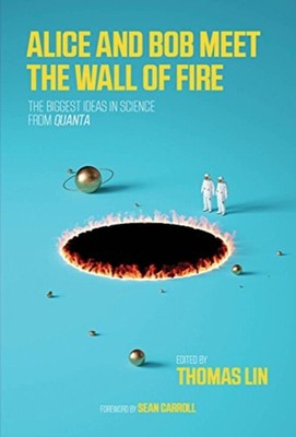 Alice and Bob Meet the Wall of Fire : The Biggest Ideas in Scienc