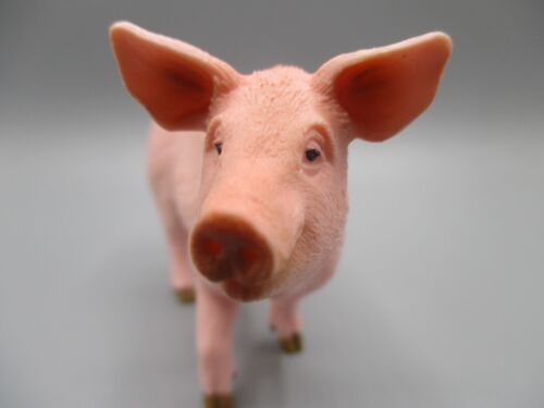 Schleich Farm Life, Schwein, 13782 von 2014, super Zustand - Bild 7 von 19