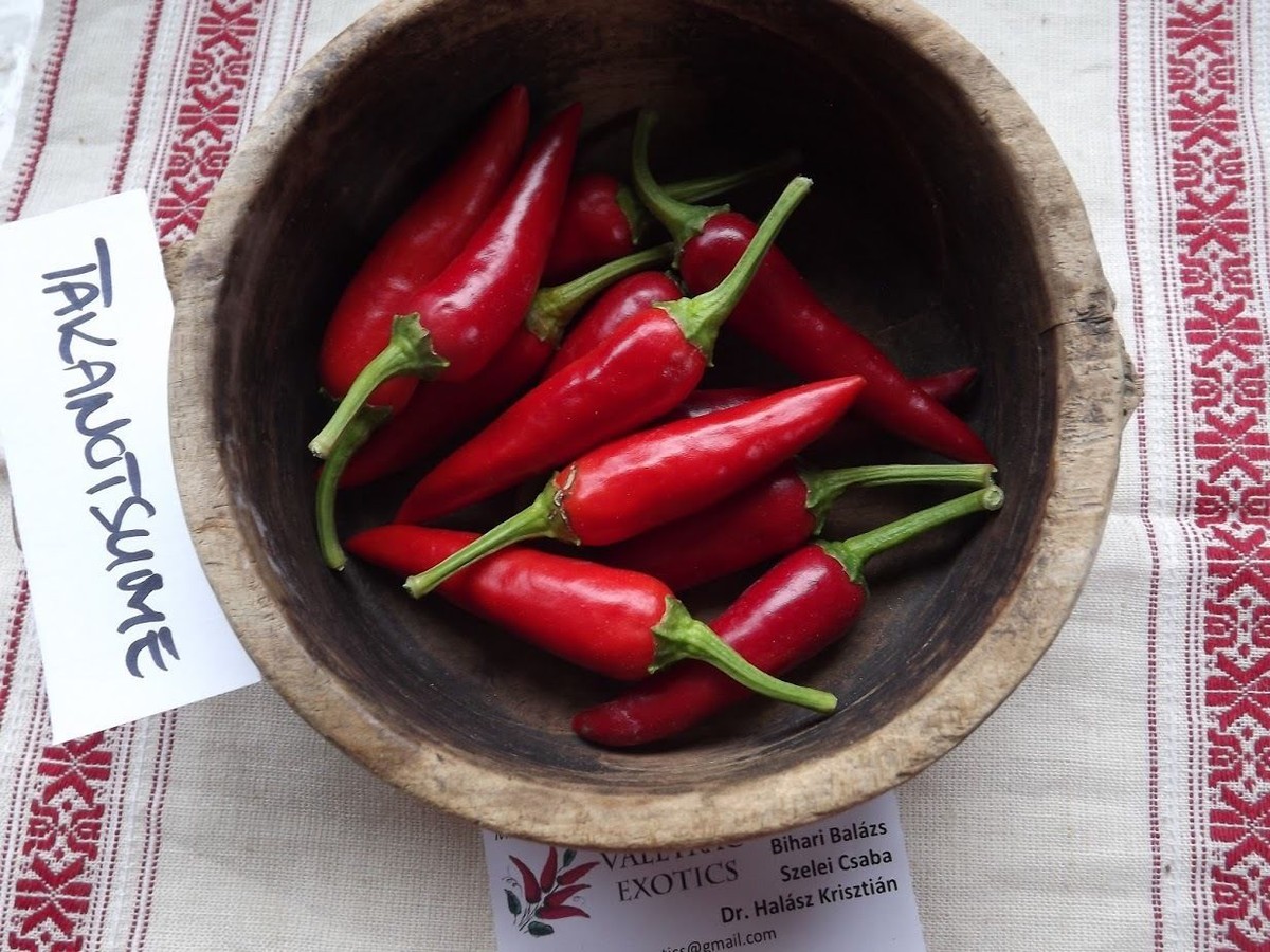 Takanotsume Chili - 5+ seeds - JAPANESE RARITY! Ch 070 | eBay