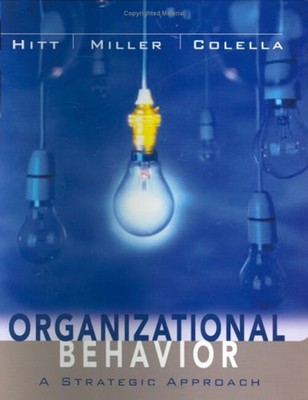 Organizational Behavior: A Strategic Ansatz Taschenbuch