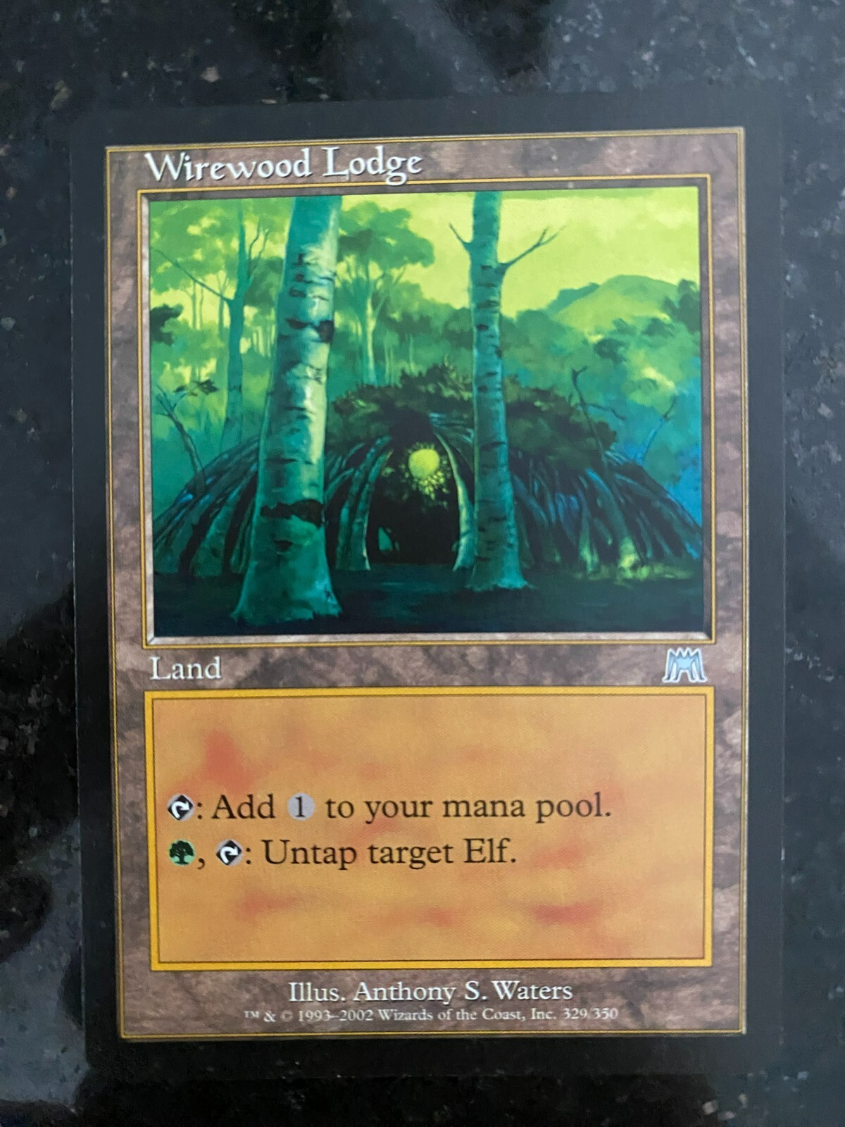 MTG Wirewood Lodge Onslaught 329/350 Regular Uncommon MINT