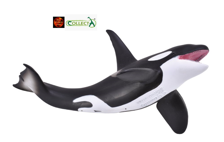 Killer Whale Orca Sealife Toy Model Figure by CollectA 88043 Brand
