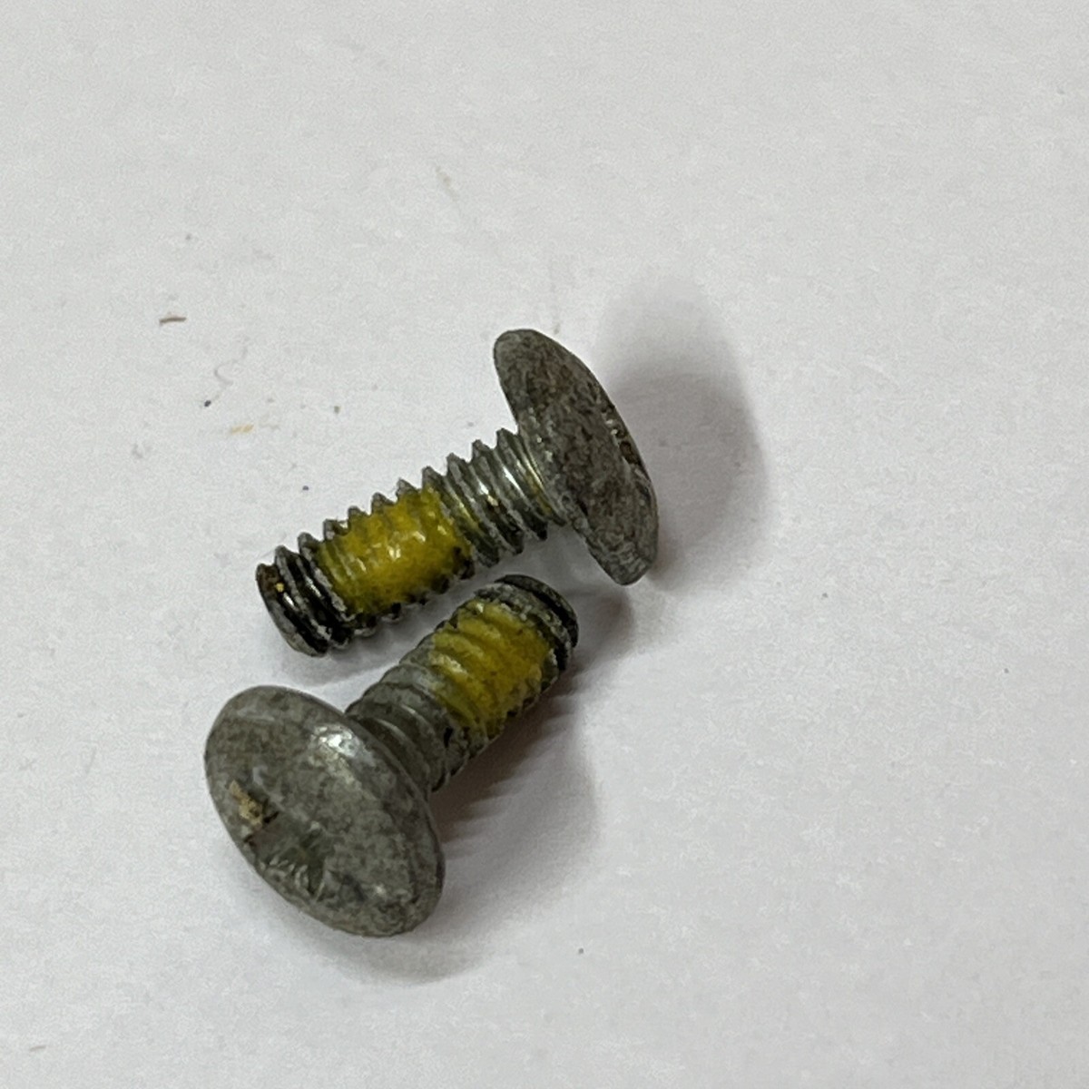 2 Genuine Harley Davidson 6-32 X 3/8 Pozidriv Truss Head OEM