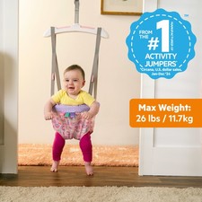 Bright Starts Purple Paradise Door Jumper