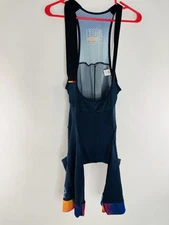 ELIEL Factory Team USA Mens M Cycling Chamois Bib Shorts EXCELLENT