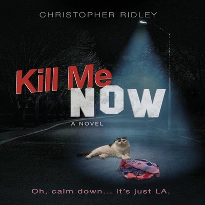 Kill Me Now Christopher Ridley Hardcover Quincy Beauty Publishing