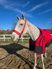 Waterproof Turnout Horse Blanket That you can Custom Fit to your horse