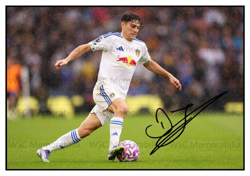 12933. Daniel James Signed Pictures (A4 Prints) Leeds Fulham Man U Swansea Wales