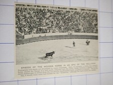 Portugal Portuguese bullfight dummy horse clown   C 1920