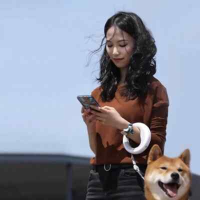 Best Dog Collar Belt Automatic Retractable Free Hands Operation Tangle-free Rope