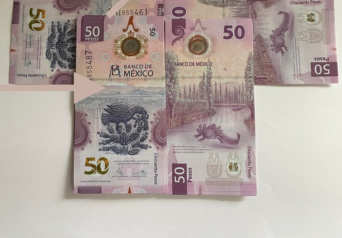 México 50 Pesos 29.03.2022 Pick 133c(2) Polímero Sc Unc - NUMISMÁTICA - Foto 2
