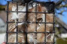 Nistmaterial Nisthilfe Wildvögel