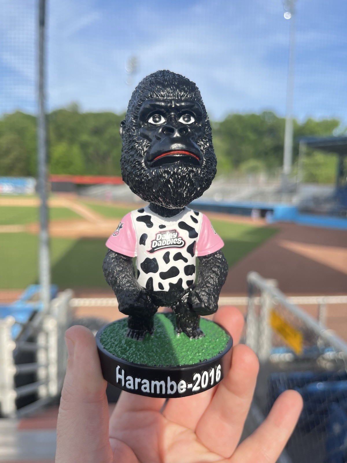 Danville Dairy Daddies Harambe Memorial Bobblehead 5/29/26