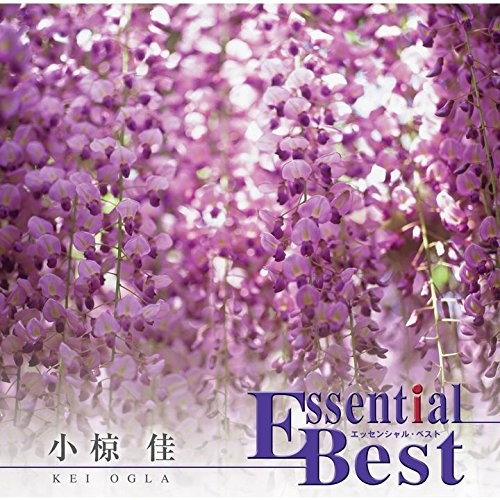 Ogla Kei Essential Best 1200  From Japan CD 15tracks