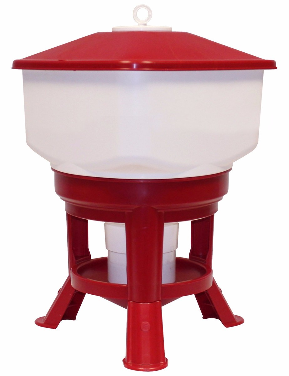 Abbeveratoio Per Polli Da 30 Litri | Plastica Alimentare | Serbatoio Bianco Antialghe | Gambe Rialzate - Foto 5